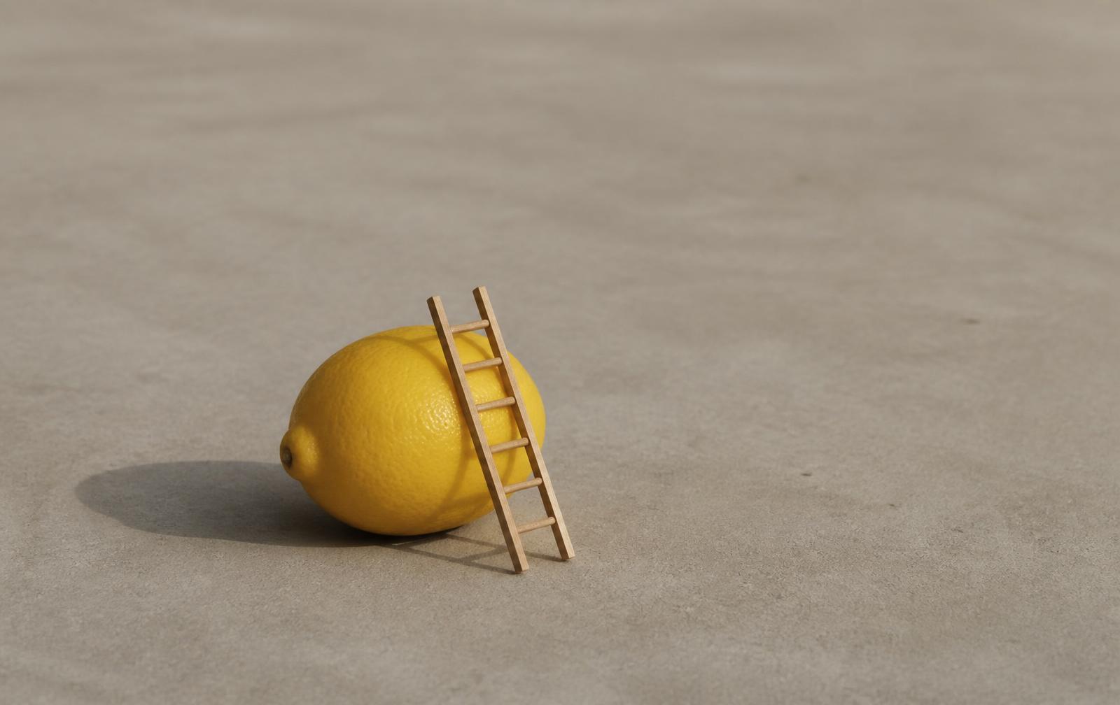 A tiny wooden ladder leans against an ordinary lemon.